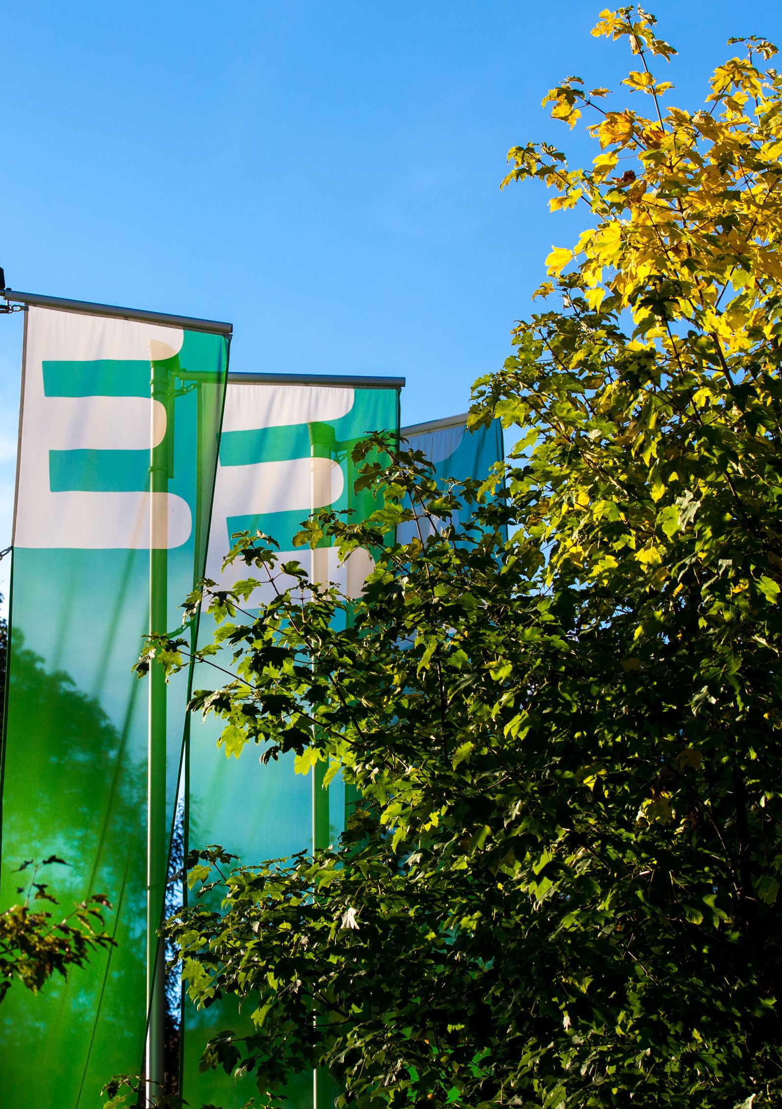 Flaggen der Energie Steiermark links neben einen Baum