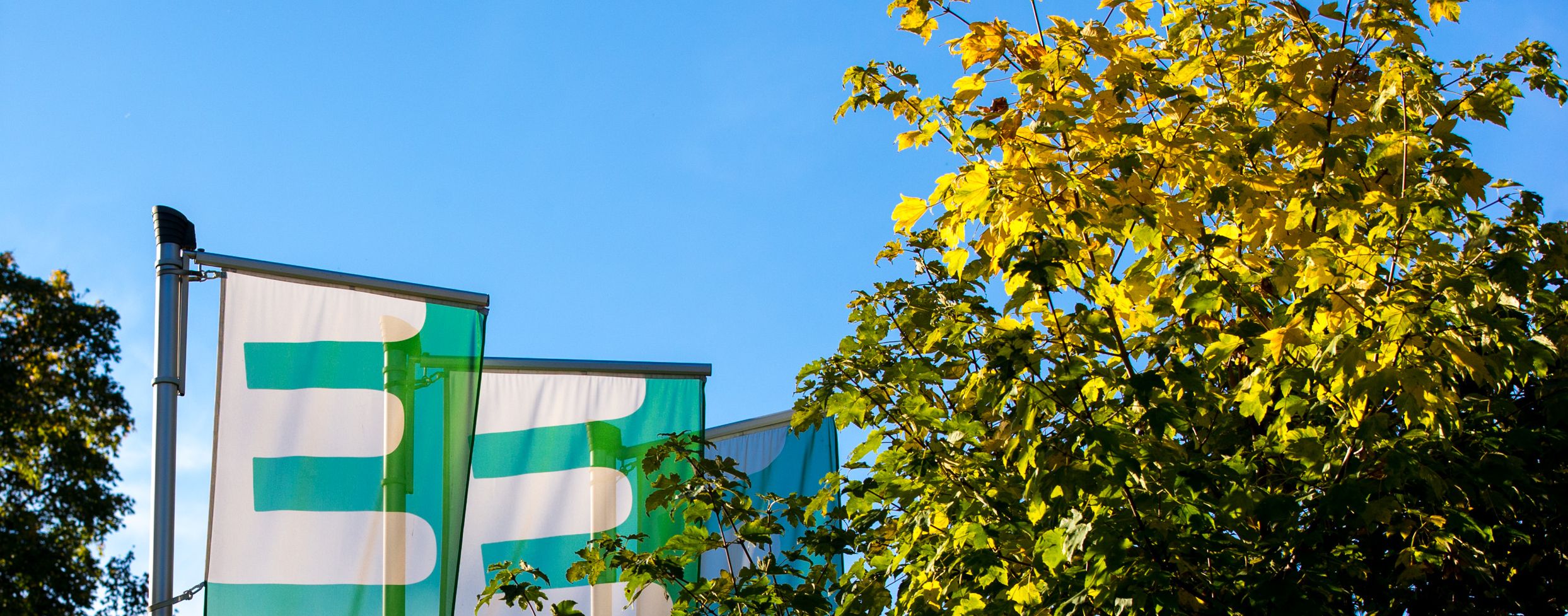 Flaggen der Energie Steiermark links neben einen Baum