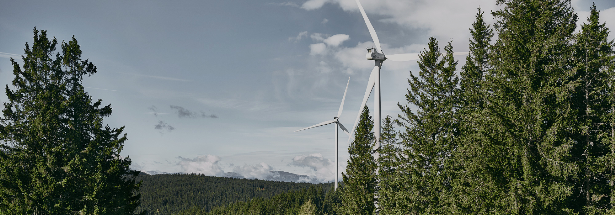 Windrad mitten im Wald 