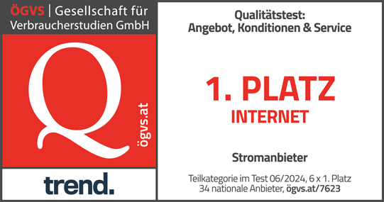 ÖGVS-Stromanbieter 2024: Energie Steiermark erreicht mit Internetauftritt den 1. Platz