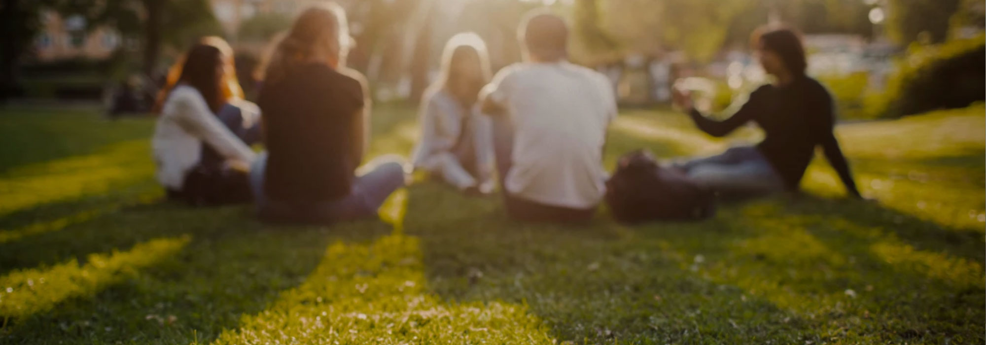 Eine Gruppe von Personen sitzt in einem Park auf der Wiese
