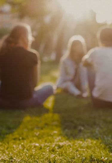 Eine Gruppe von Personen sitzt in einem Park auf der Wiese